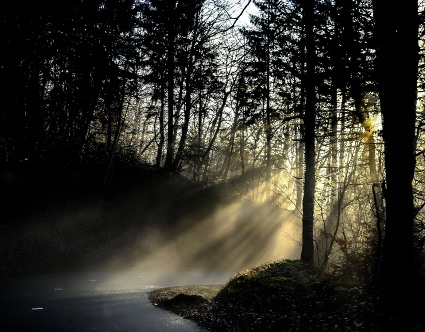 Le Chemin de Lumière
